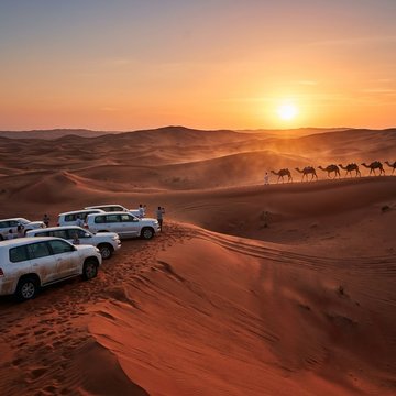 Desert Safari